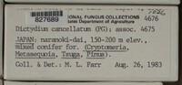 Image Associated With the Occurence